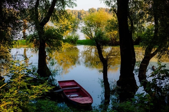 Lago, rojo oscuro, barco, barco por el río, árboles, sombra, árbol, amanecer, Río, reflexión