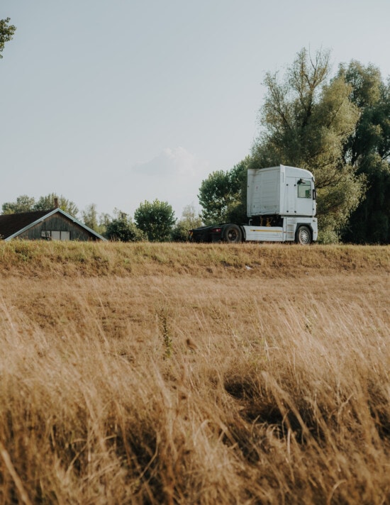 white, truck, aspen, hill, agriculture, nature, rural, countryside, tree, outdoors