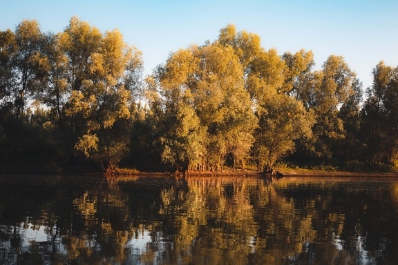 klidný, jezera, podzimní sezóna, hladina vody, klid, jezero, voda, reflexe, strom, příroda