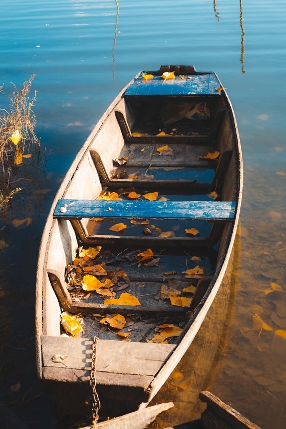 Boot, Herbstsaison, Flussschiff, gelbe Blätter, Wasser, Holz, Wasserfahrzeuge, Sommer, Natur, Angelboot/Fischerboot