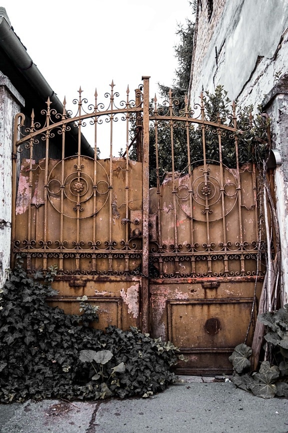 gate, cast iron, handmade, rust, grunge, decay, house, abandoned, ivy, old