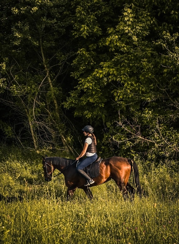 young woman, riding, horse, horses, farm, animal, cowboy, grass, cavalry, girl