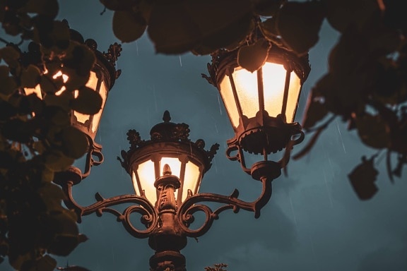 rain, lamp, cast iron, branches, lantern, retro, light, old, architecture, antique