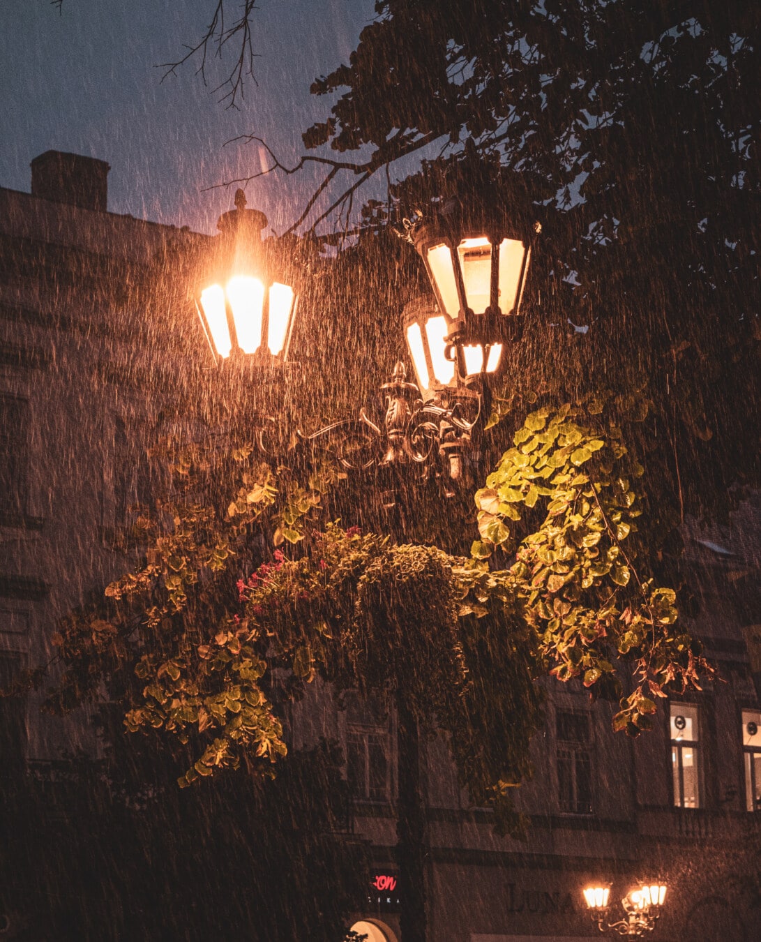 ฝน, สภาพอากาศเลวร้าย, สตรีท, เหล็กหล่อ, โคมไฟ, อุปกรณ์, แสง, สีเข้ม, โคมไฟ, เรืองแสง