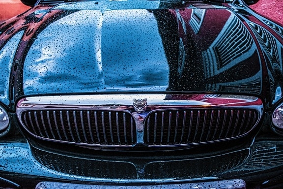 coche, Jaguar, húmedo, lluvia, cromo, parachoques, faro, signo de, símbolo, metálicos