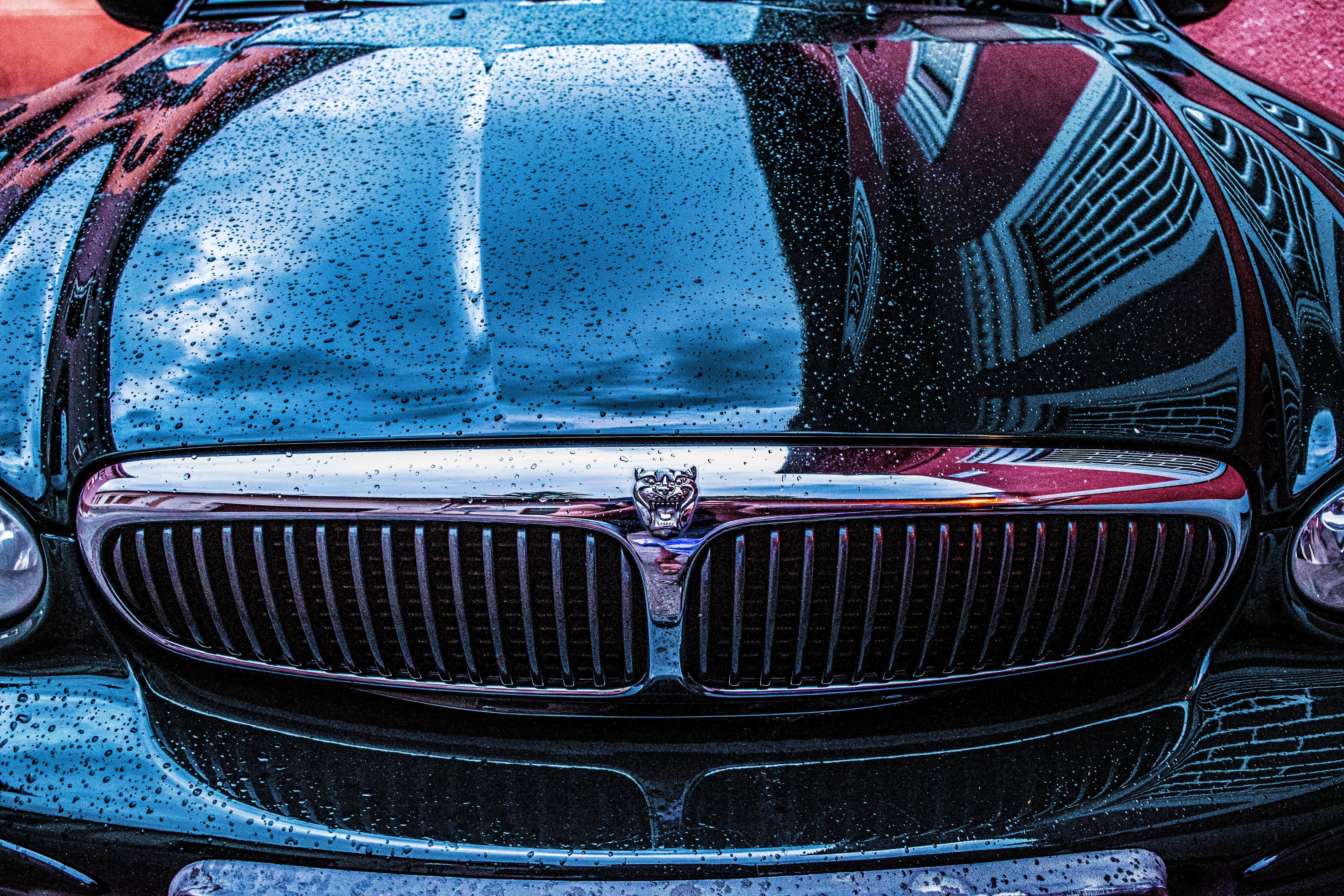 Kostenlose Bild: Auto, Jaguar, nass, Regen, Chrom, Stoßstange