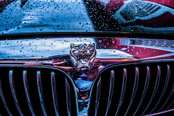 Jaguar, signo de, cromo, coche, símbolo, reflexión, húmedo, acero inoxidable, lluvia, campana