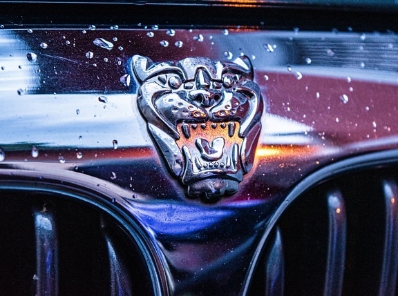 tegn, symbolet, Jaguar, bil, krom, skinner, glanset, detaljer, kjøretøy, grillen