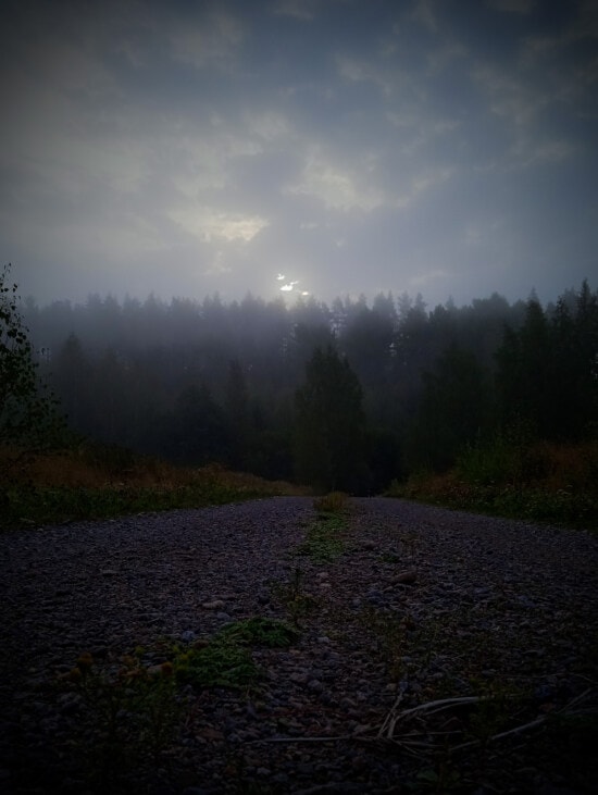 road, evening, darkness, foggy, mist, clouds, dark blue, landscape, tree, wood