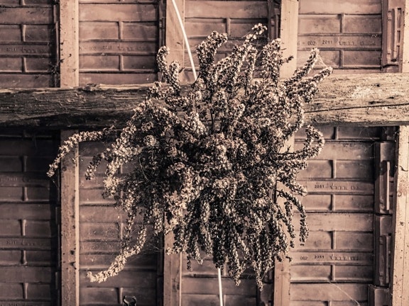 roof, underneath, hanging, bouquet, vintage, sepia, old, building, architecture, wood