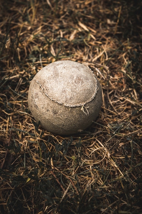 old style, vintage, tennis, ball, decay, derelict, abandoned, equipment, grass, nature