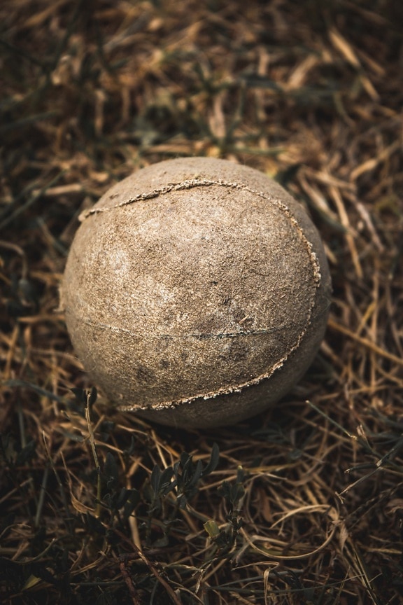 ball, derelict, decay, tennis, vintage, ground, grass, sport, game, soil