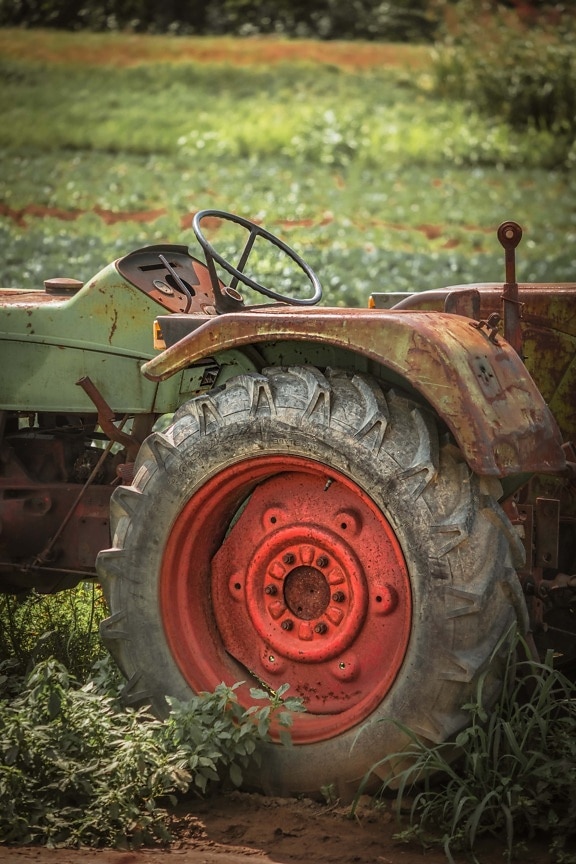 régi, rozsda, traktor, termőföld, gumiabroncs, gép, eszköz, kerék, farm, mezőgazdaság