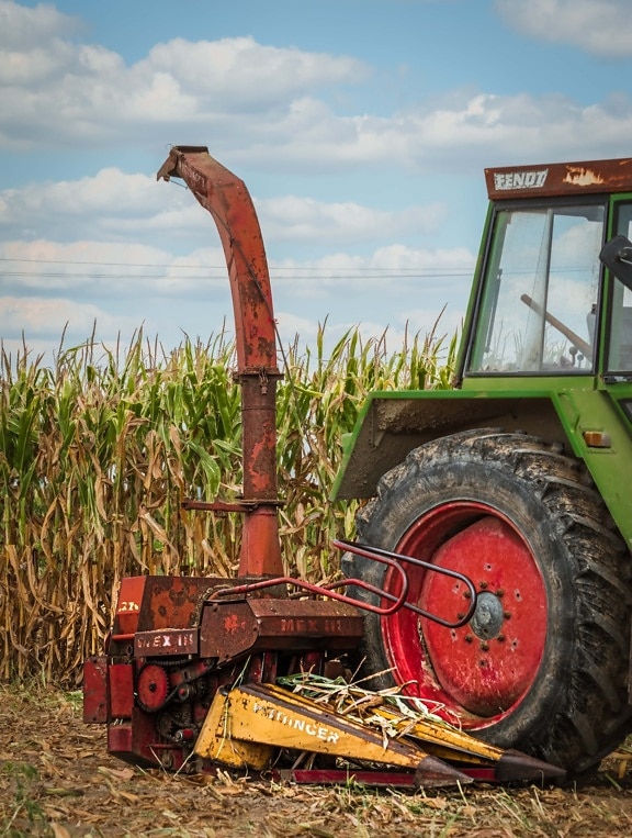 harvester, cornfield, corn, harvest, vehicle, tractor, agriculture, device, machinery, machine