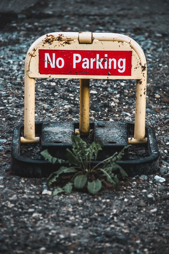 parkeren, parkeerplaats, signaal, tekst, teken, waarschuwing, symbool, Let op, bescherming, verkeer