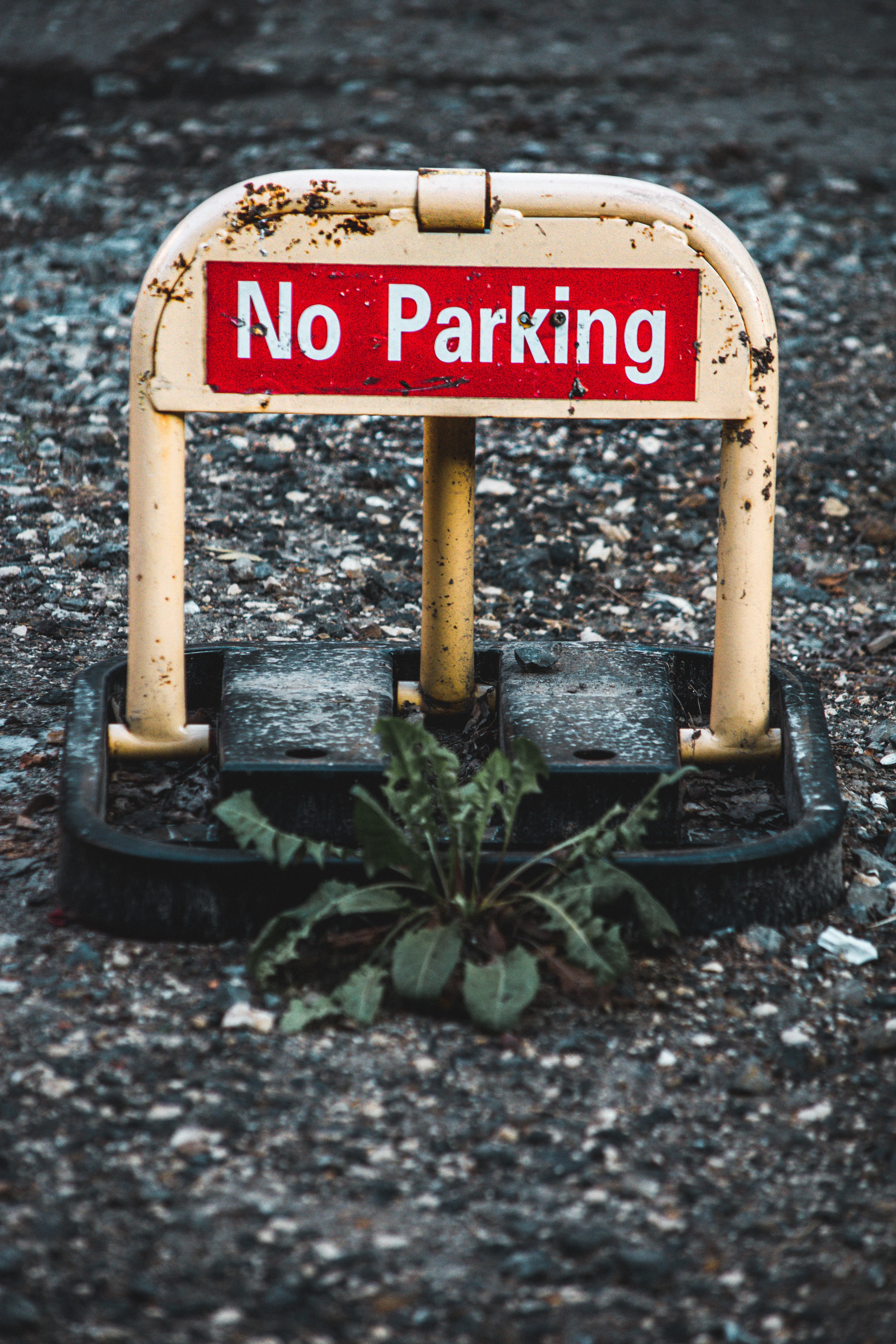 Kostenlose Bild: Parken, Parkplatz, Signal, Text, Zeichen, Warnung, Symbol,  Vorsicht, Schutz, Verkehr