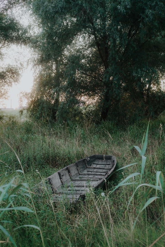 derelict, boat, disrepair, wooden, decay, grassy, greenery, old style, abandoned, wood