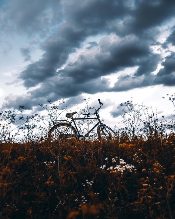 hilltop, bicycle, grassland, dark blue, clouds, wheel, landscape, cloud, nature, outdoors