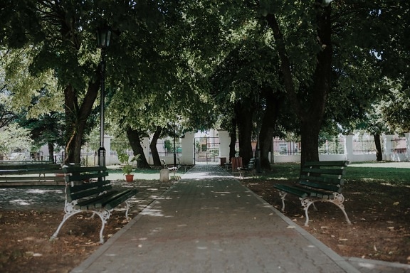 pavement, alley, garden, pathway, bench, trees, shade, tree, park, street