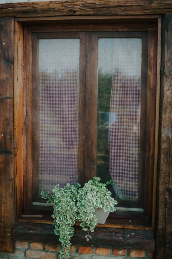 janela, de madeira, feito à mão, celeiro, cortina, vaso de flor, madeira, peitoril, janela, casa