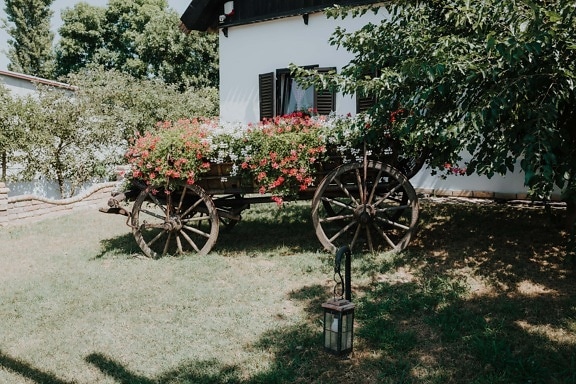 flowerpot, carriage, village, lawn, lantern, garden, farmhouse, wheel, cart, flower