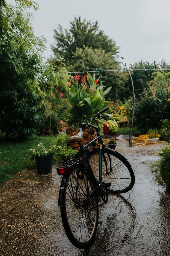 bicicleta, jardín de flores, patio trasero, lluvia, húmedo, temporada de lluvias, bicicleta, rueda, árbol, flor