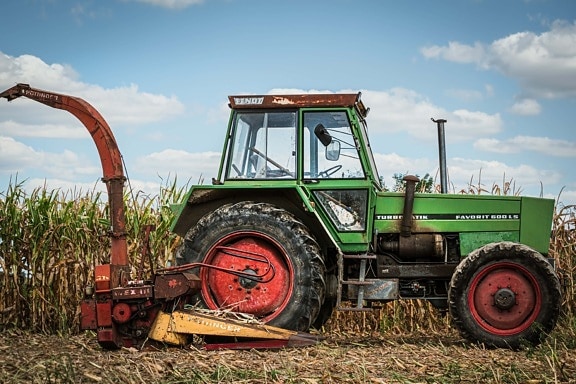 harvest, tractor, harvester, corn, cornfield, vehicle, heavy, equipment, tool, machinery