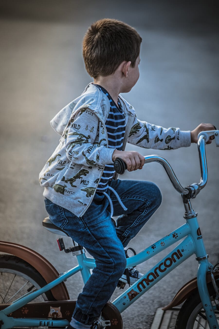 cycling, cyclist, child, boy, enjoying, fun, bike, leisure, exercise, active