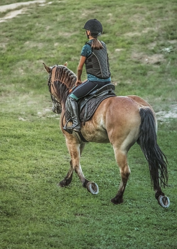 конни надбягвания, кон, тийнейджър, млада жена, Конна, физическа активност, програма за обучение, жребец, кавалерия, животните