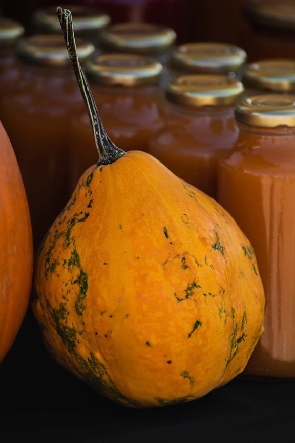 squash, pumpkin, organ, juice, homemade, syrup, merchandise, products, vegetable, produce