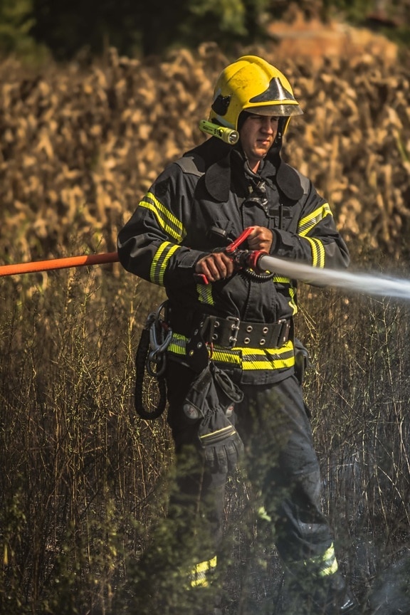 fireman, firefighter, portrait, danger, serviceman, employment, search and rescue, emergency, water, rescue operation