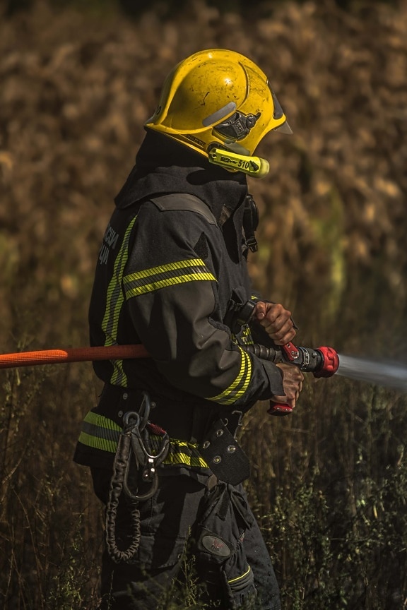 pompier, pompier, recherche et sauvetage, tuyau, eau, action, d’urgence, uniforme, risque, technicien