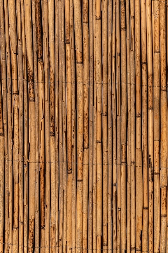 bark, reeds, vertical, detail, material, texture, surface, old style, light brown, cortex
