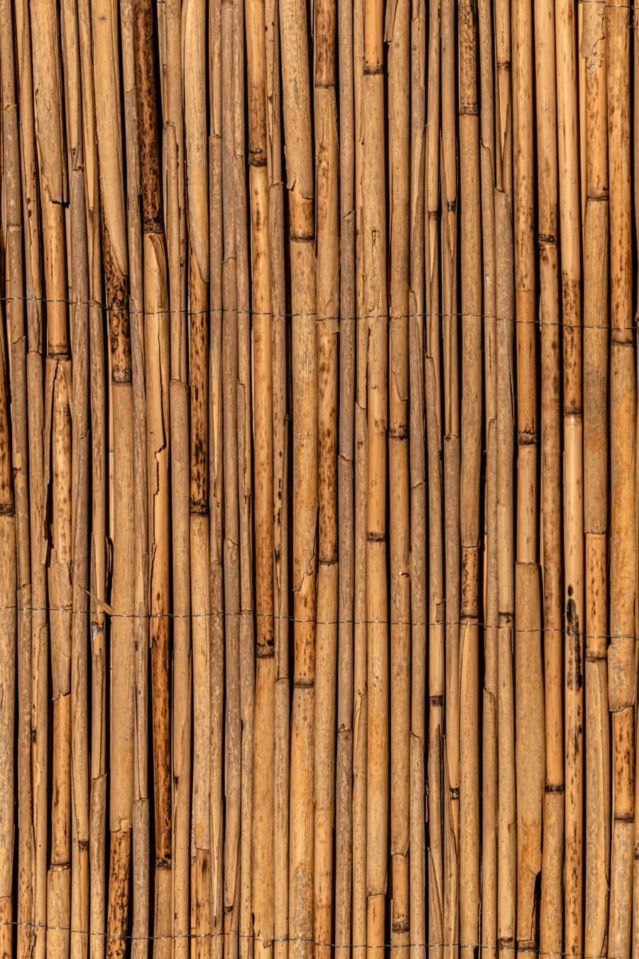 bark, vass, vertikala, detalj, material, konsistens, ytan, gammal stil, ljus brun, bark