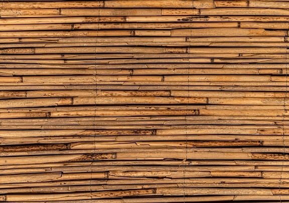 reeds, horizontal, common, close-up, texture, ordinary, vintage, pattern, retro, wood