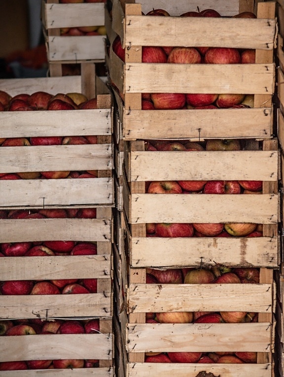apples, reddish, wooden, boxes, products, merchandise, warehouse, storage, marketplace, container