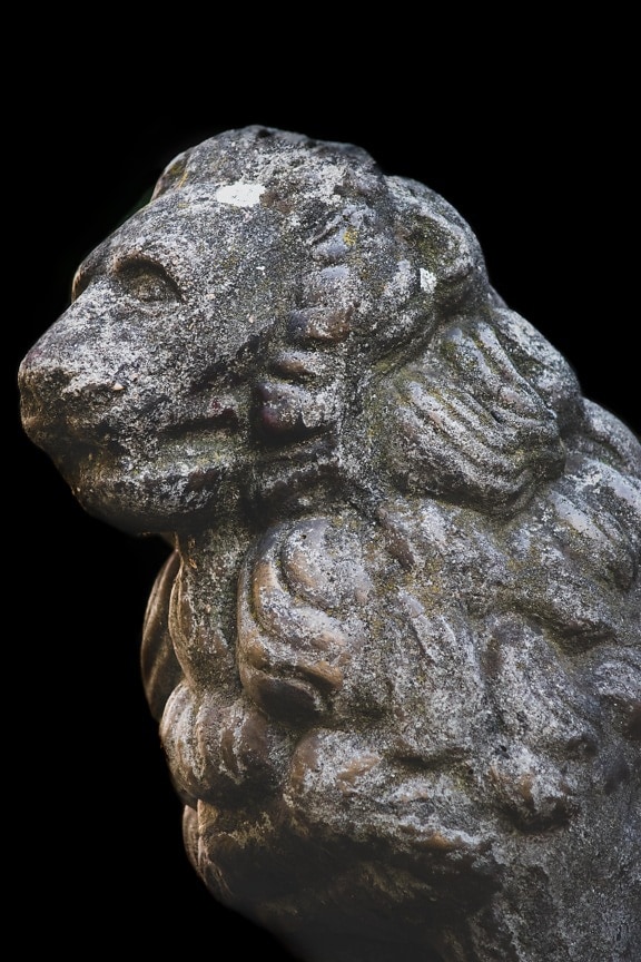 άγαλμα, γλυπτική, λιοντάρι, τέχνη, κεφάλι, σκυρόδεμα, αρχαία, πέτρα, παλιά, σχήμα