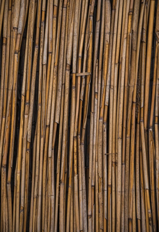 reed grass, reeds, close-up, texture, light brown, pattern, yellowish brown, detail, material, rough