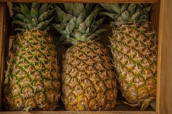 fruit, pineapple, organic, fresh, exotic, tropical, ripe fruit, food, produce, healthy