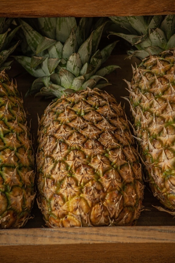 pineapple, marketplace, products, produce, fruit, food, tropical, nature, texture, health