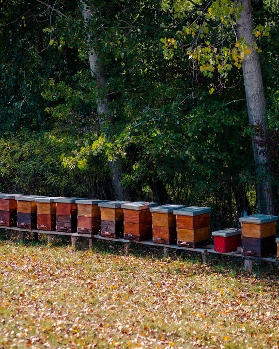 บีไฮฟ์, เกษตร, อินทรีย์, การผลิต, รังผึ้ง, ผึ้ง, การผสมเกสร, สวน, ธรรมชาติ, ฟาร์ม
