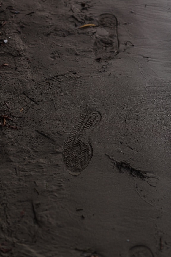 砂, 湿, 脚步, 脏, 地面, 海滩, 地球, 纹理, 土壤, 足迹