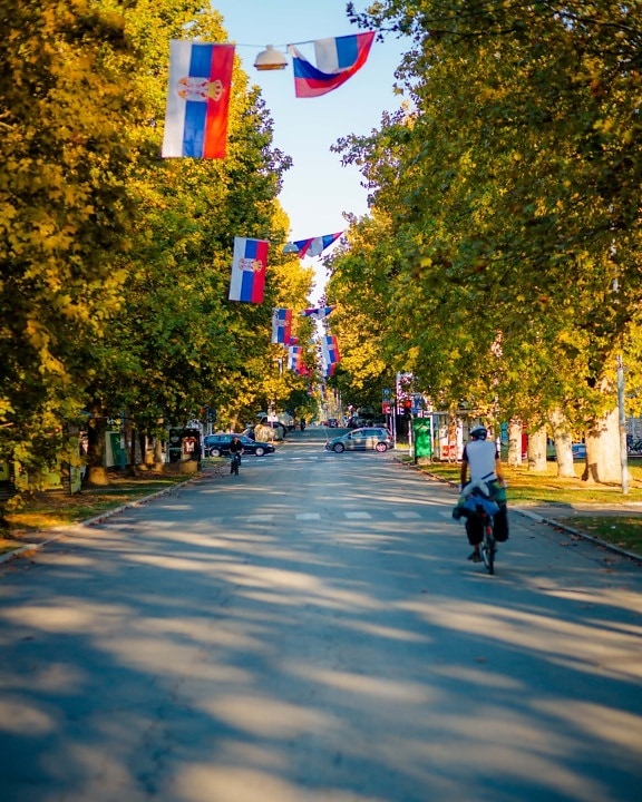street, road, traffic, flag, Serbia, Backa Palanka city, bicycling, pedestrian, cyclist