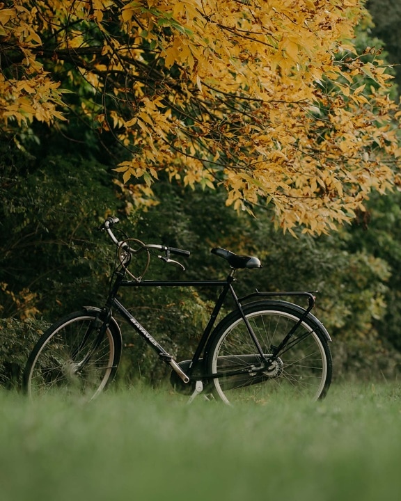 bicycle, black, classic, old style, autumn season, countryside, wheel, bike, leaf, wood