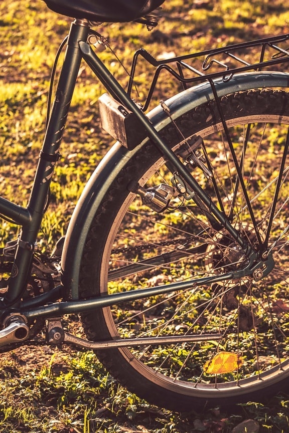 bicyklov, klasický, starý štýl, pneumatiky, dynamá, koleso, zariadenie, vonku, príroda, vozidlo