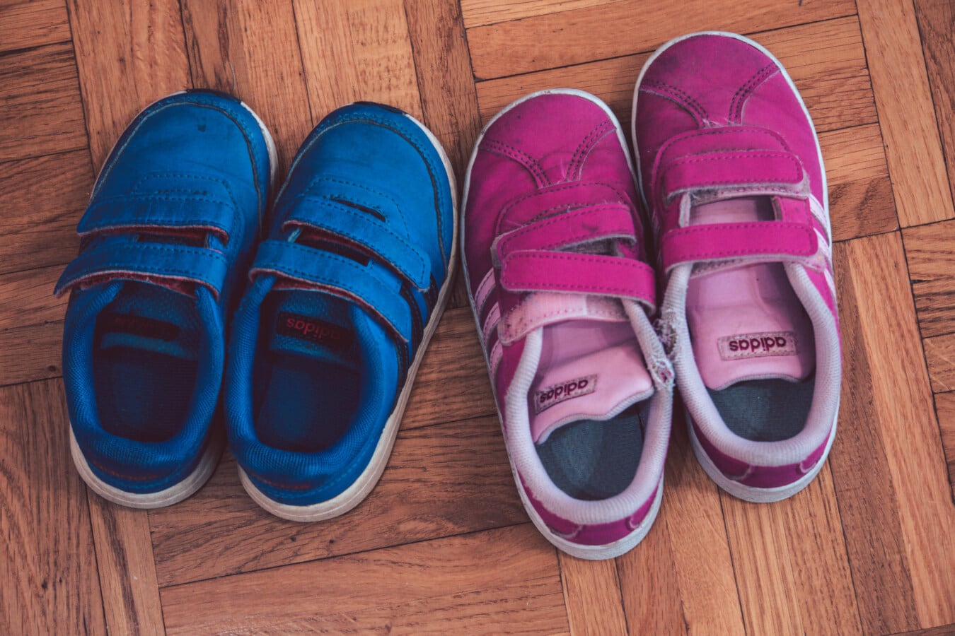 粉色, 深蓝, 运动鞋, 鞋, 舒适, 休闲, 阿迪达斯, 覆盖, 时尚, 皮革