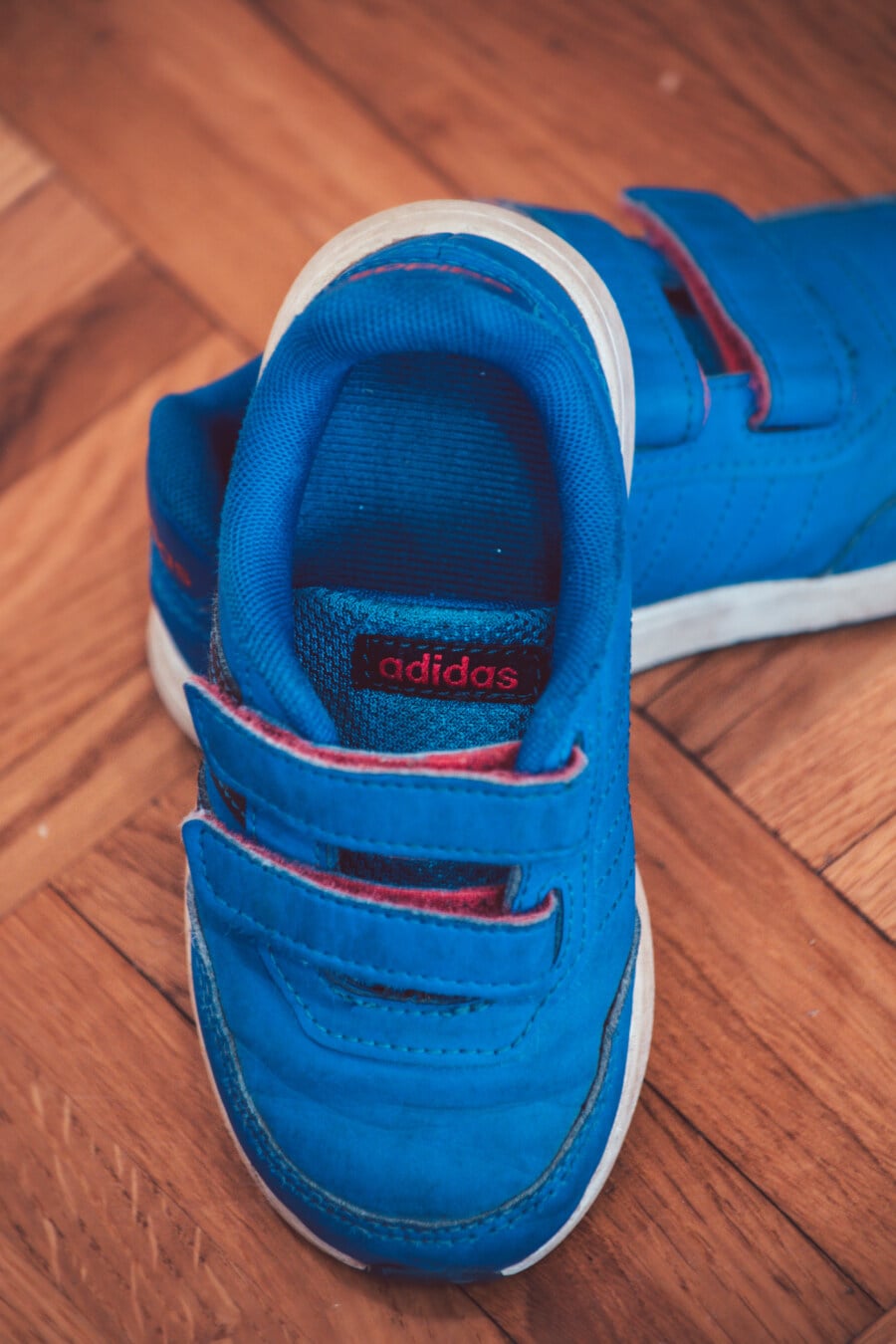 biru gelap, Adidas, sepatu kets, santai, mode, alas kaki, kenyamanan, rekreasi, klasik, objek