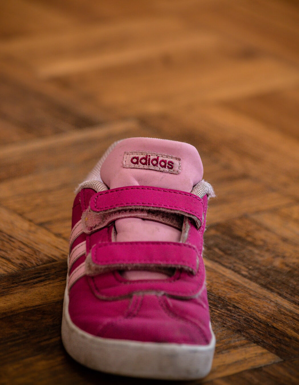 运动鞋, 小, 粉红色, 阿迪达斯, 鞋, 时尚, 舒适, 传统, 双脚, 对象