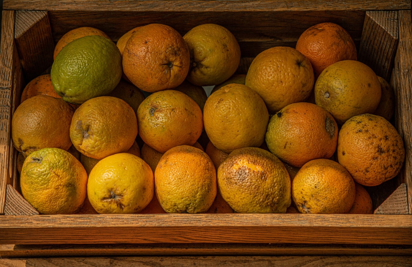 organický, pomeranče, pomerančová kůra, dřevěný, krabice, čerstvý, citrusové, jídlo, strava, vitamín