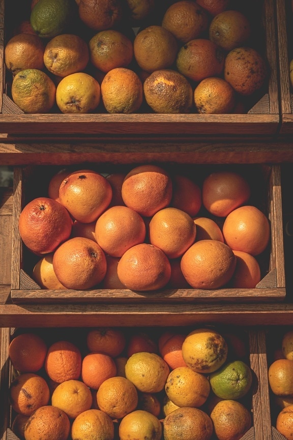 naranjas, toronja, mercado, orgánica, madera, cajas, cítricos, alimentos, mercado, fruta